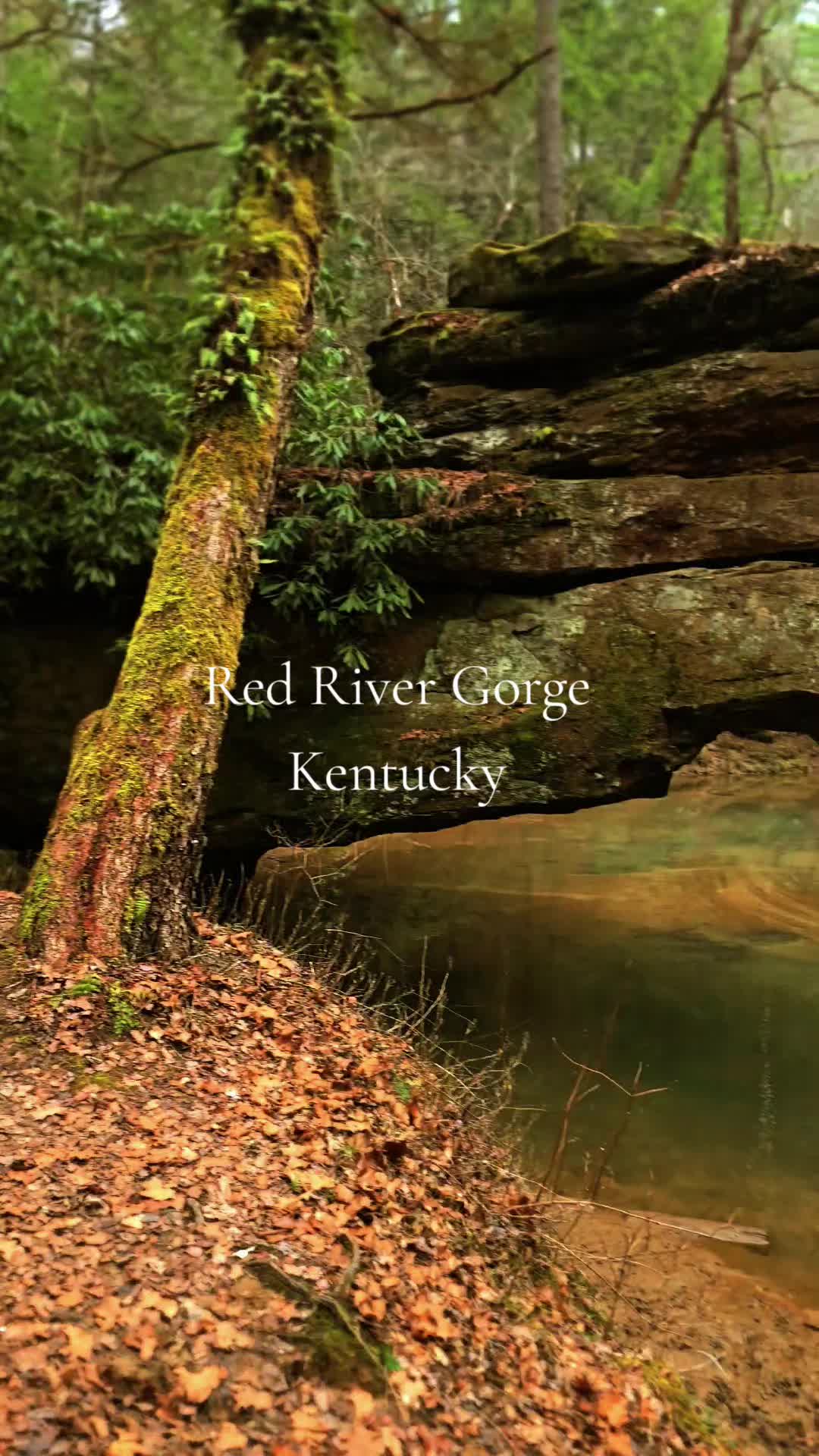 @Kentucky_simpleman1994