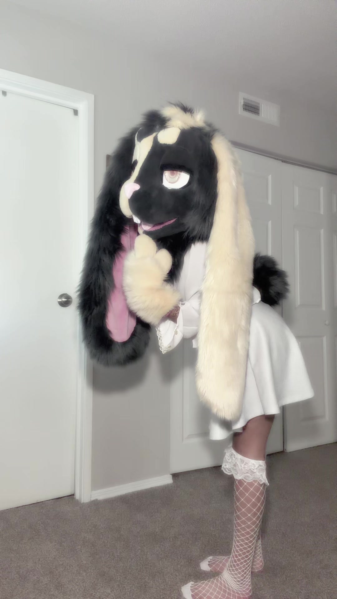 @`✮&acute; 𝘽𝙞𝙣𝙜𝙤 `✮&acute;