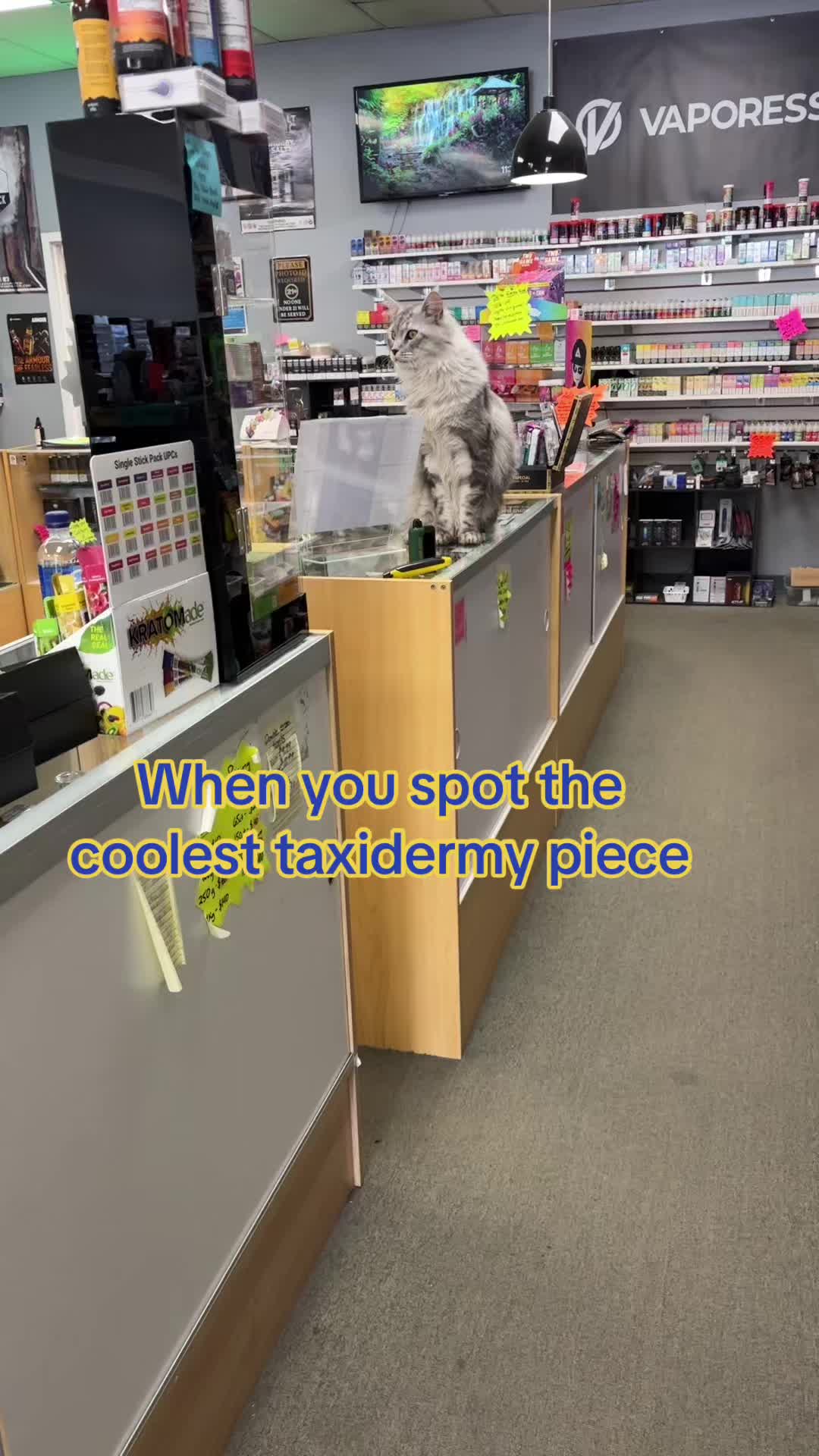 @Becca Blaze