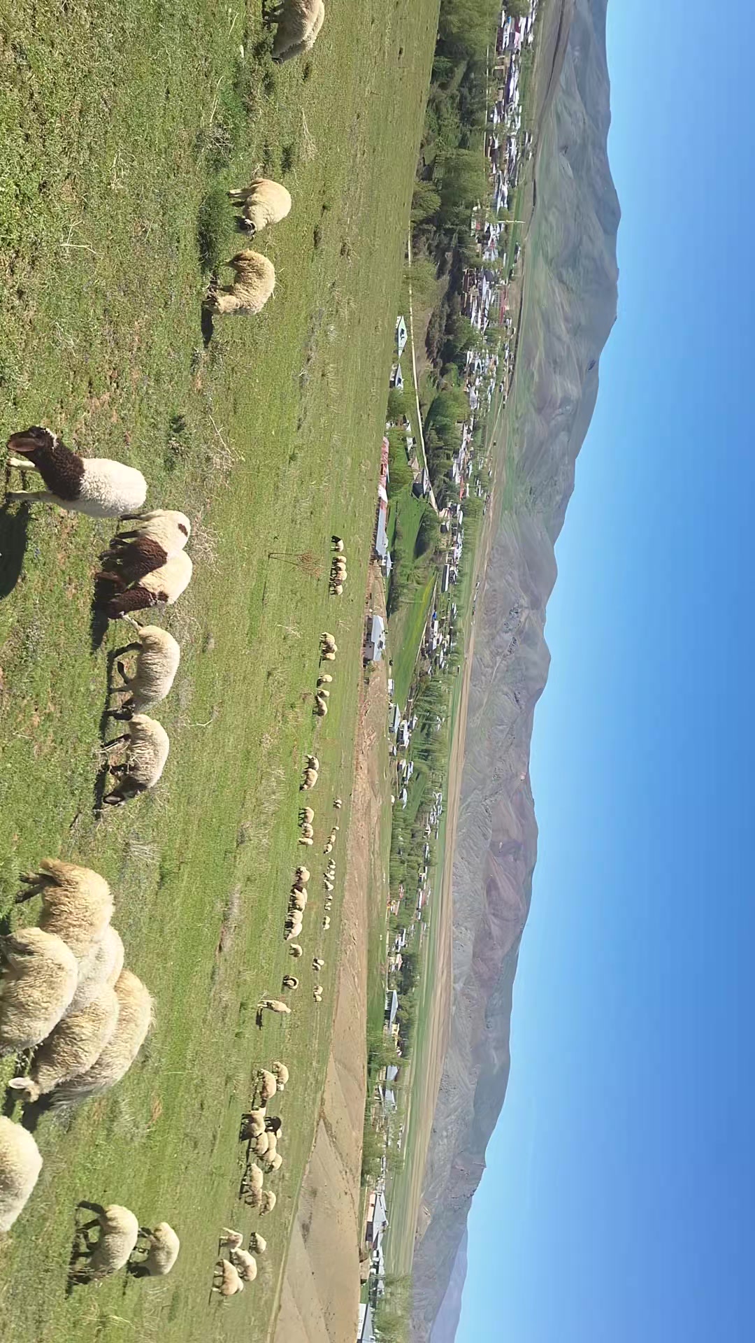 @emincanbaz0765