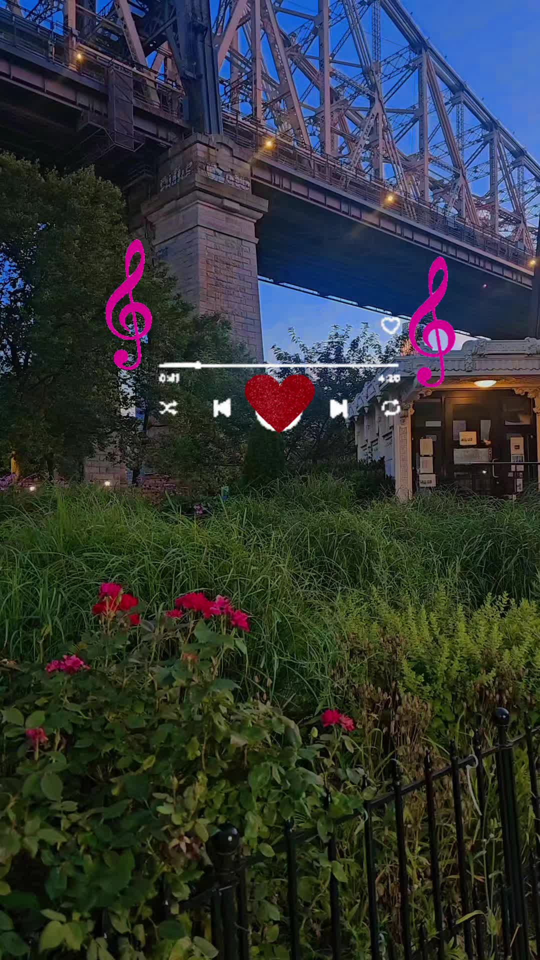 @🎶🎵🎧LUNA🎶🎵🎧