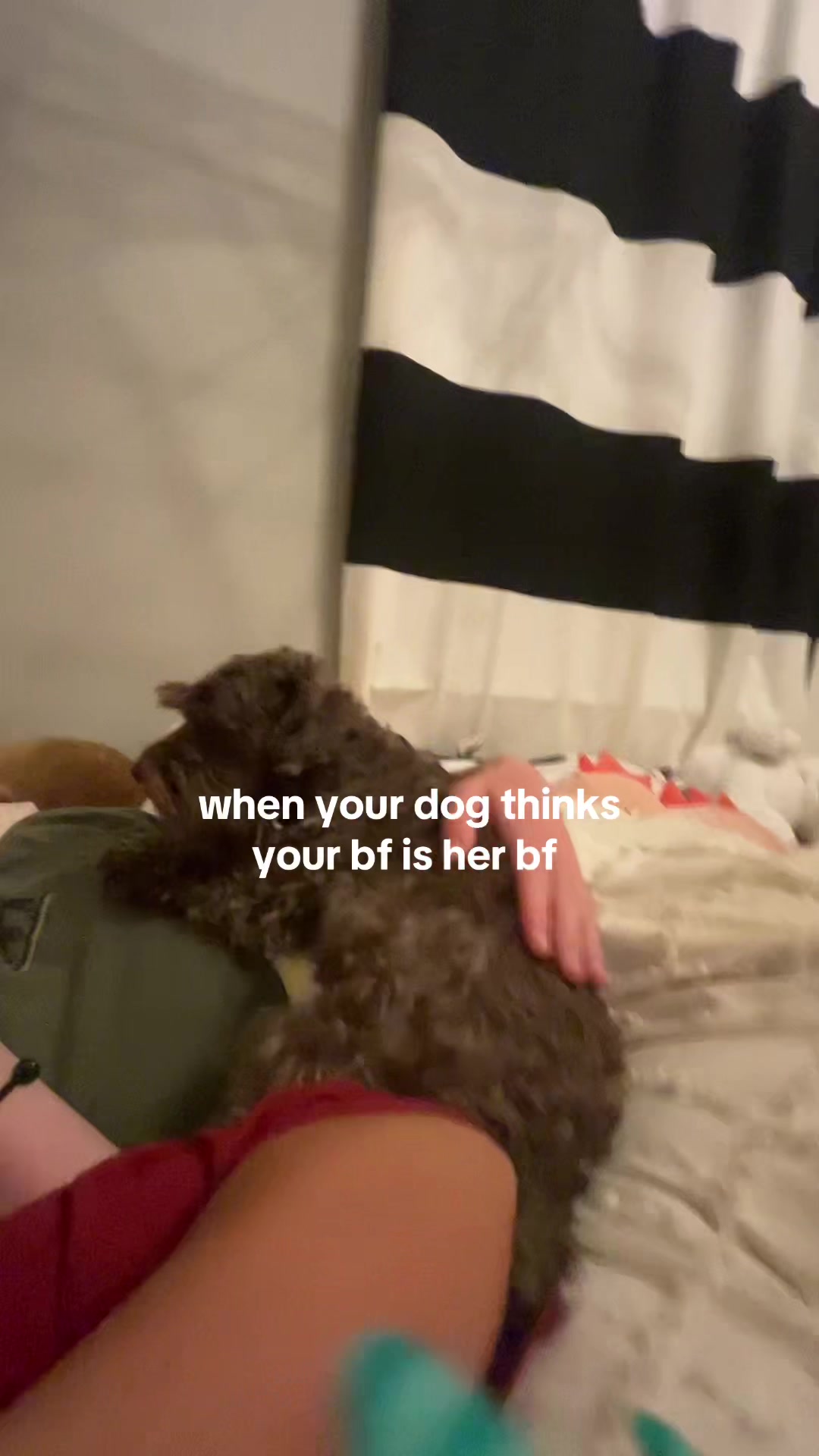 @emma elise ๐ฟ