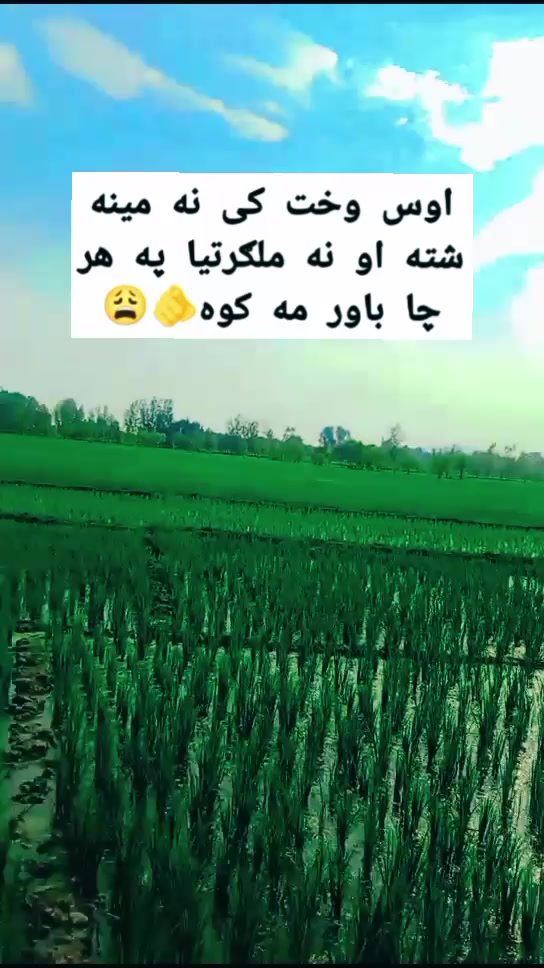 @♛𝐆𝐡𝐚𝑚𝑗𝐚𝑛😌𝐇𝐚𝐥𝐚𝐤♛