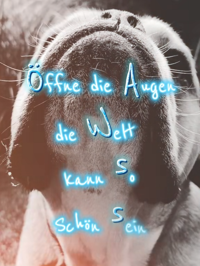 @Otto und Erwin