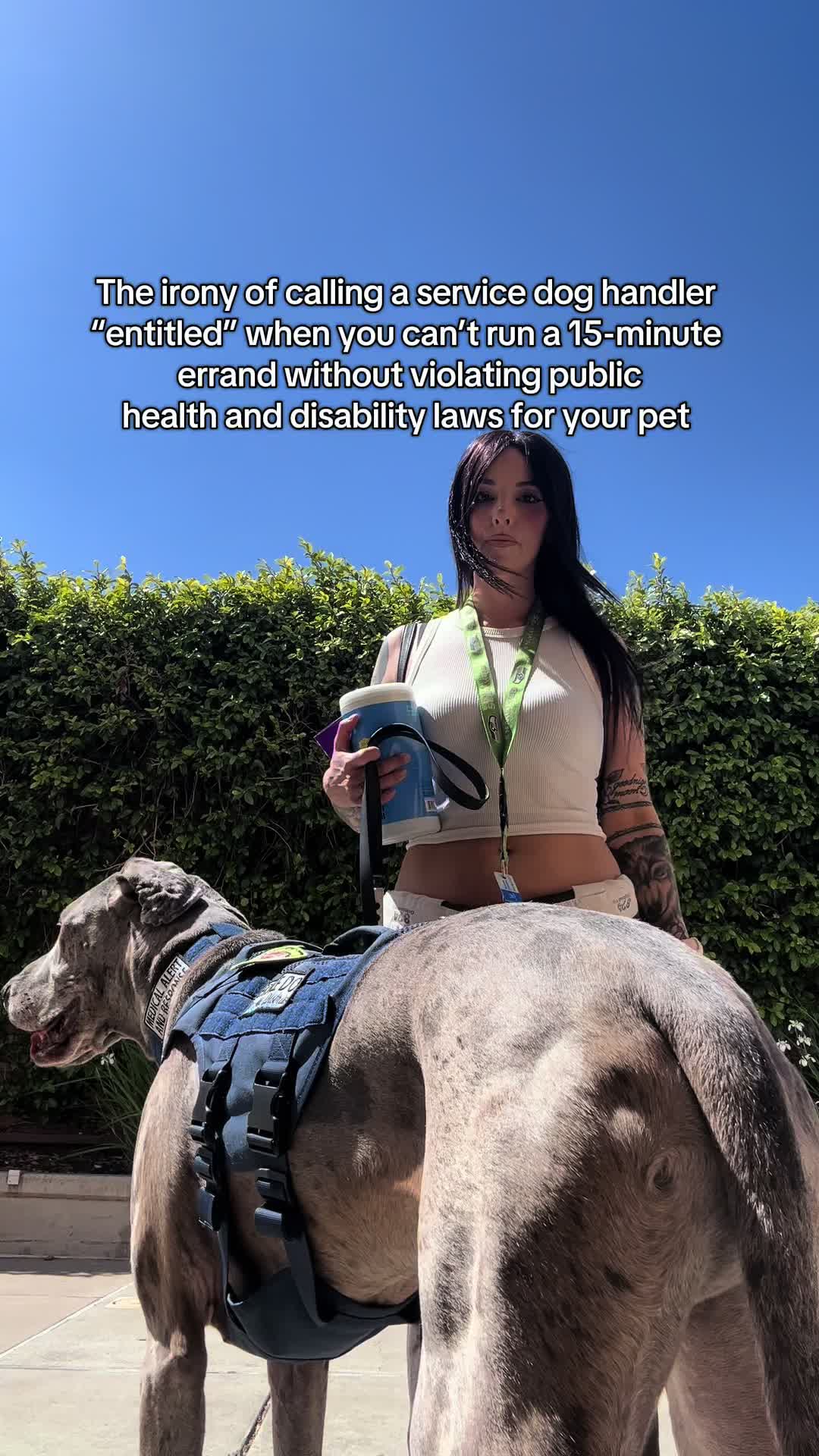 @lex 🐺⛓️