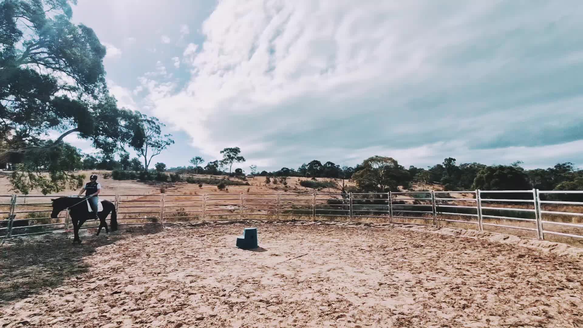 @neverlandstandys