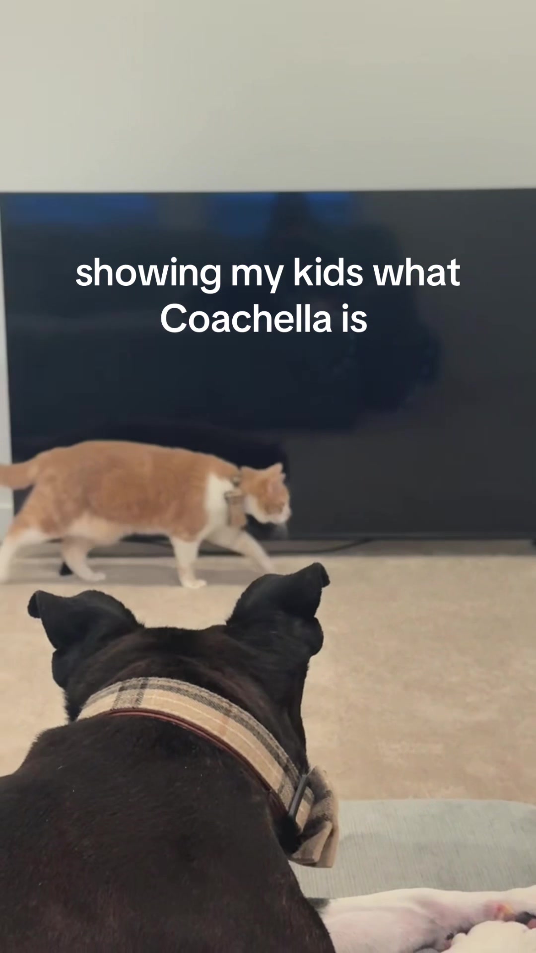 @us_thefour