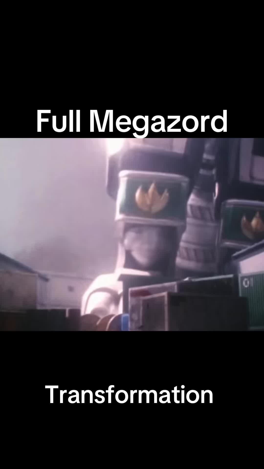 @90’s Nostalgia Ranger Fan