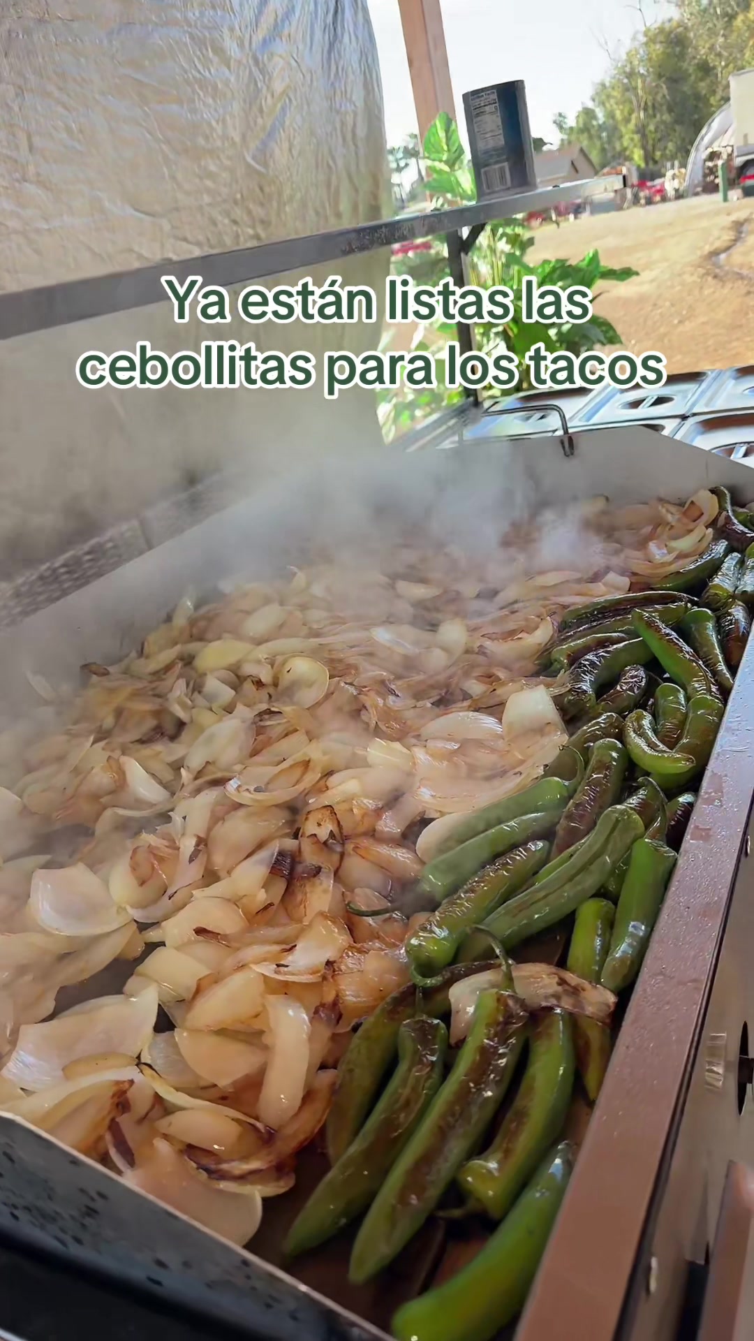 @Tacos flor