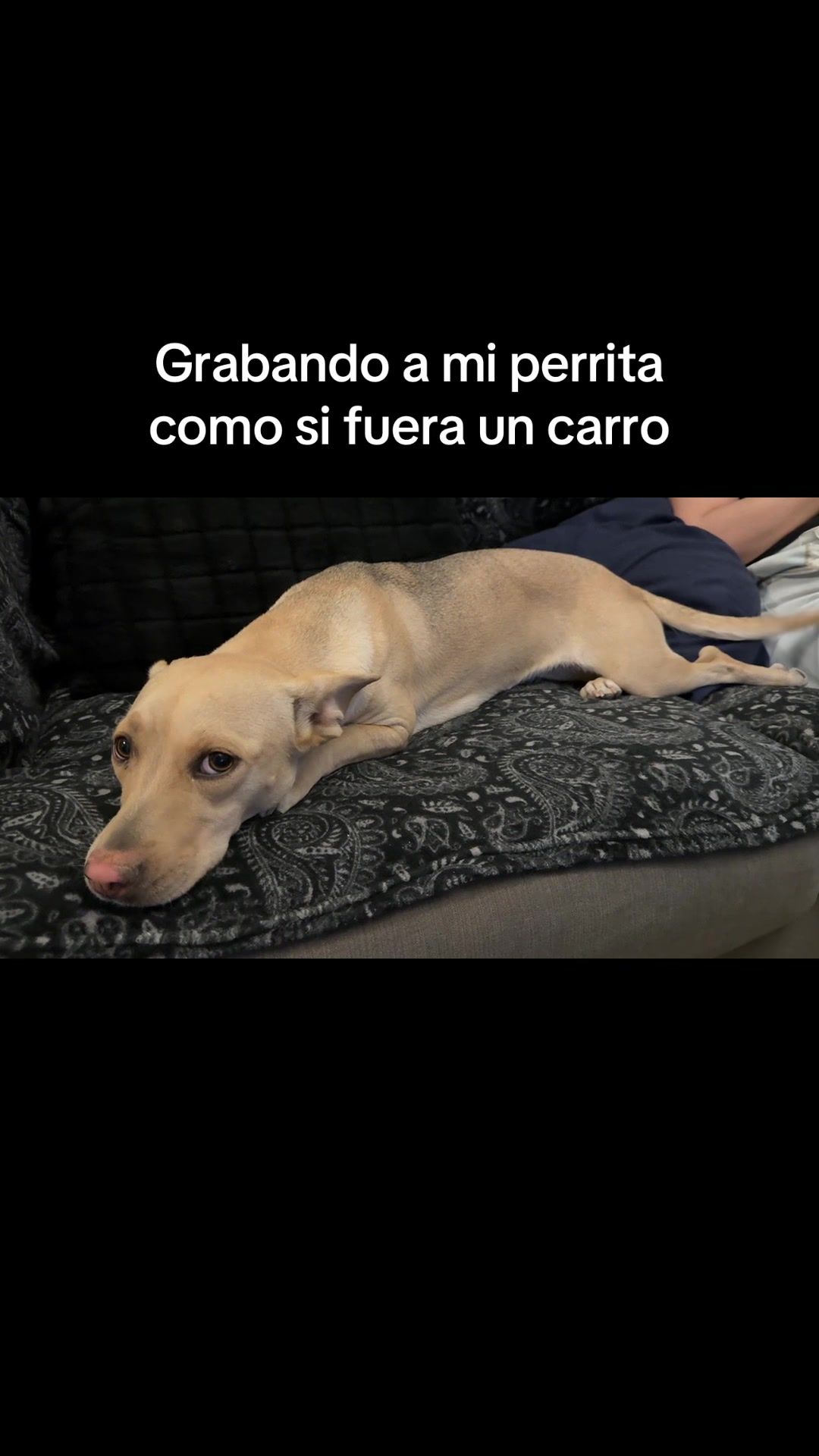 @alebugaboo