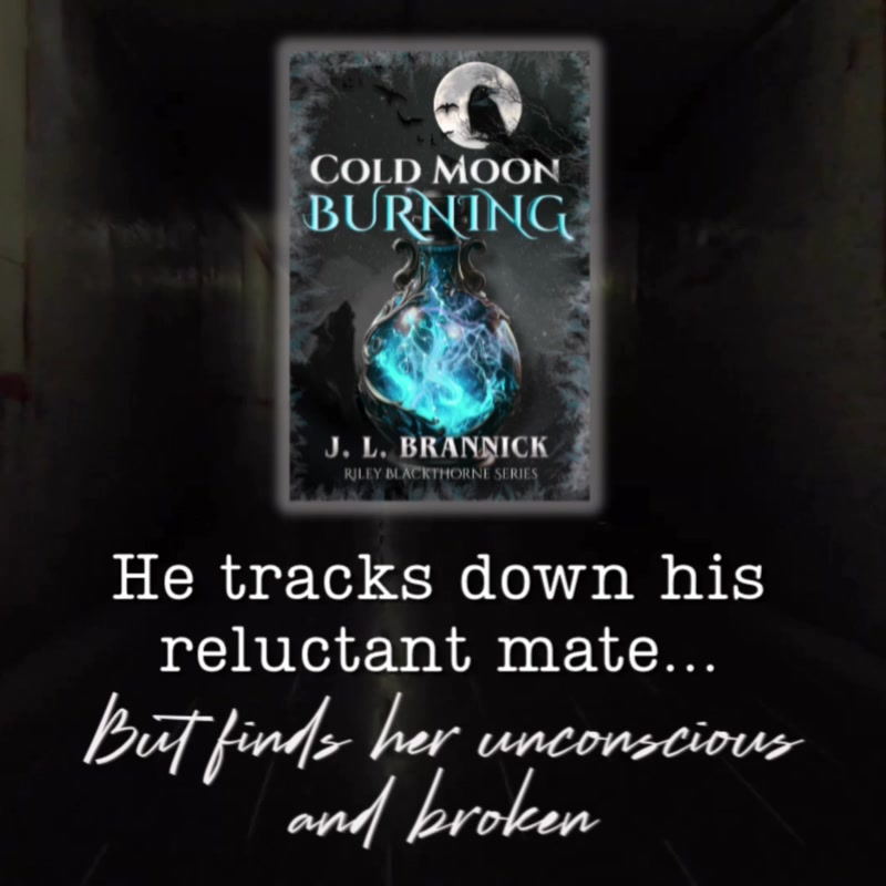 @Jlbrannick.writes