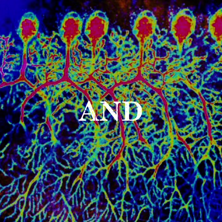 @neuro_glow