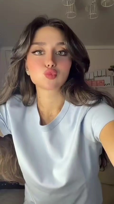 @فانز تايا