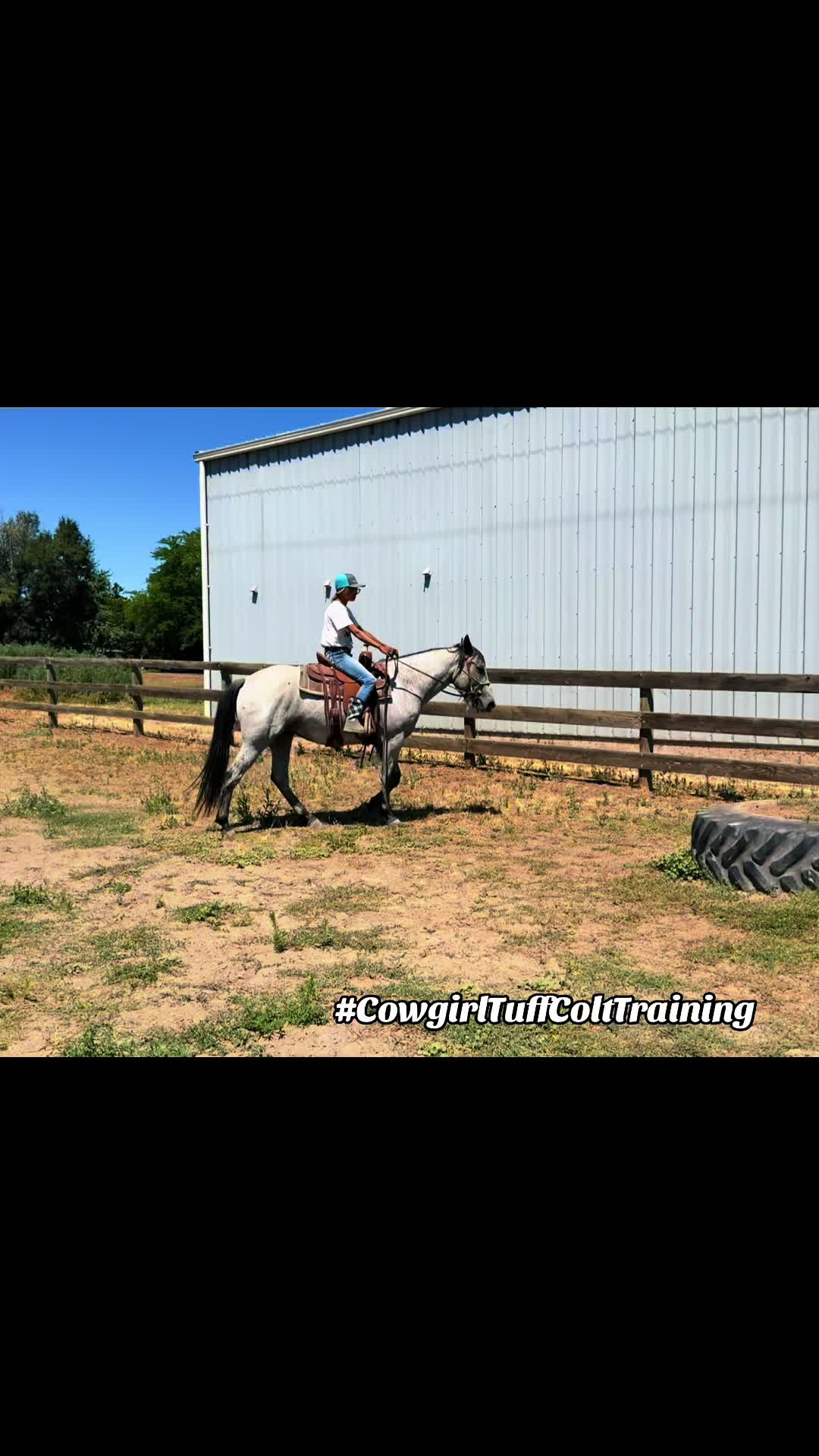 @Cowgirl Tuff Colt Training ❤️