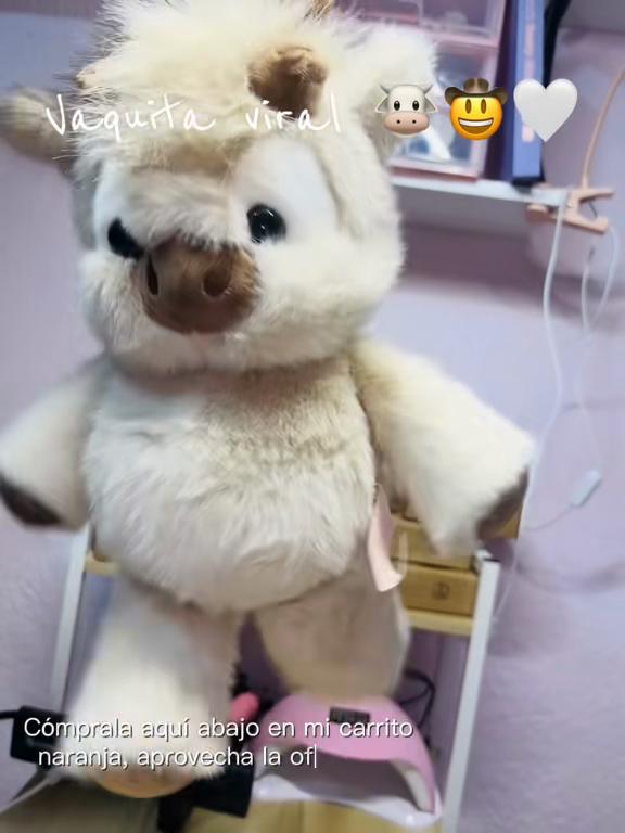 @Lilian Arzate 🌸
