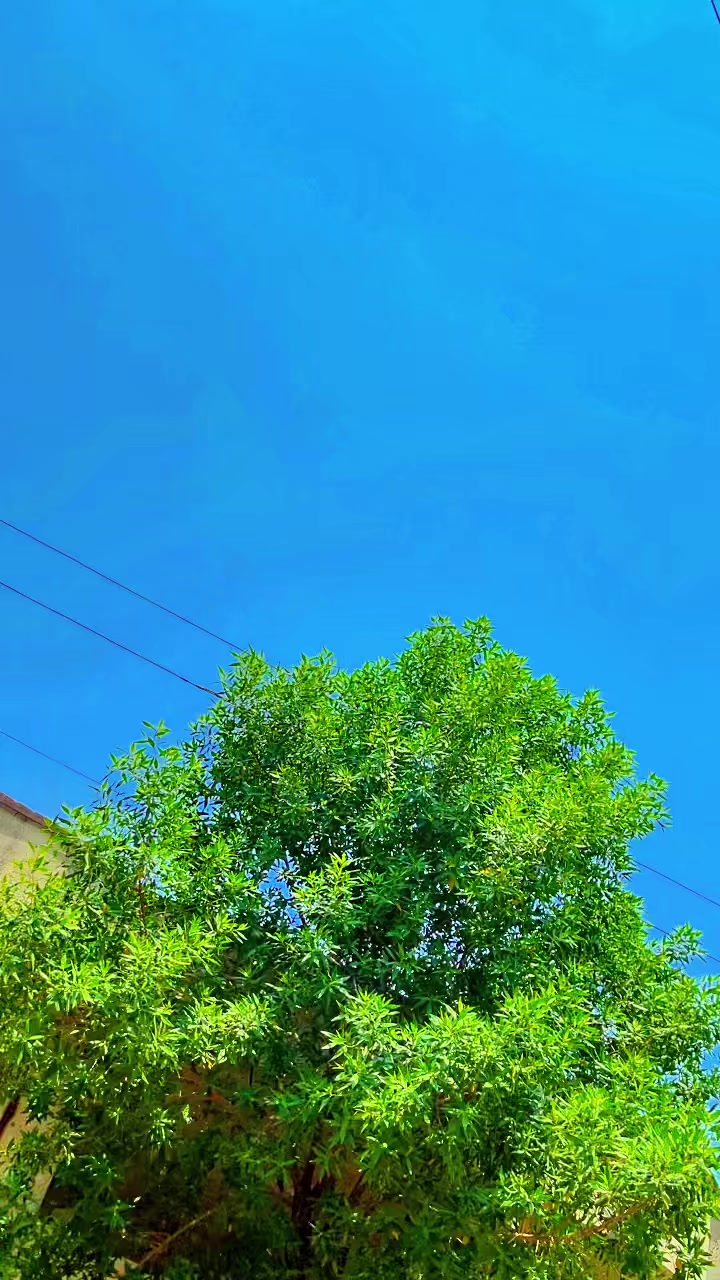 @༄ᴹᴿ&deg;᭄✮𝒜𝓃𝑒𝐸𝓈࿐
