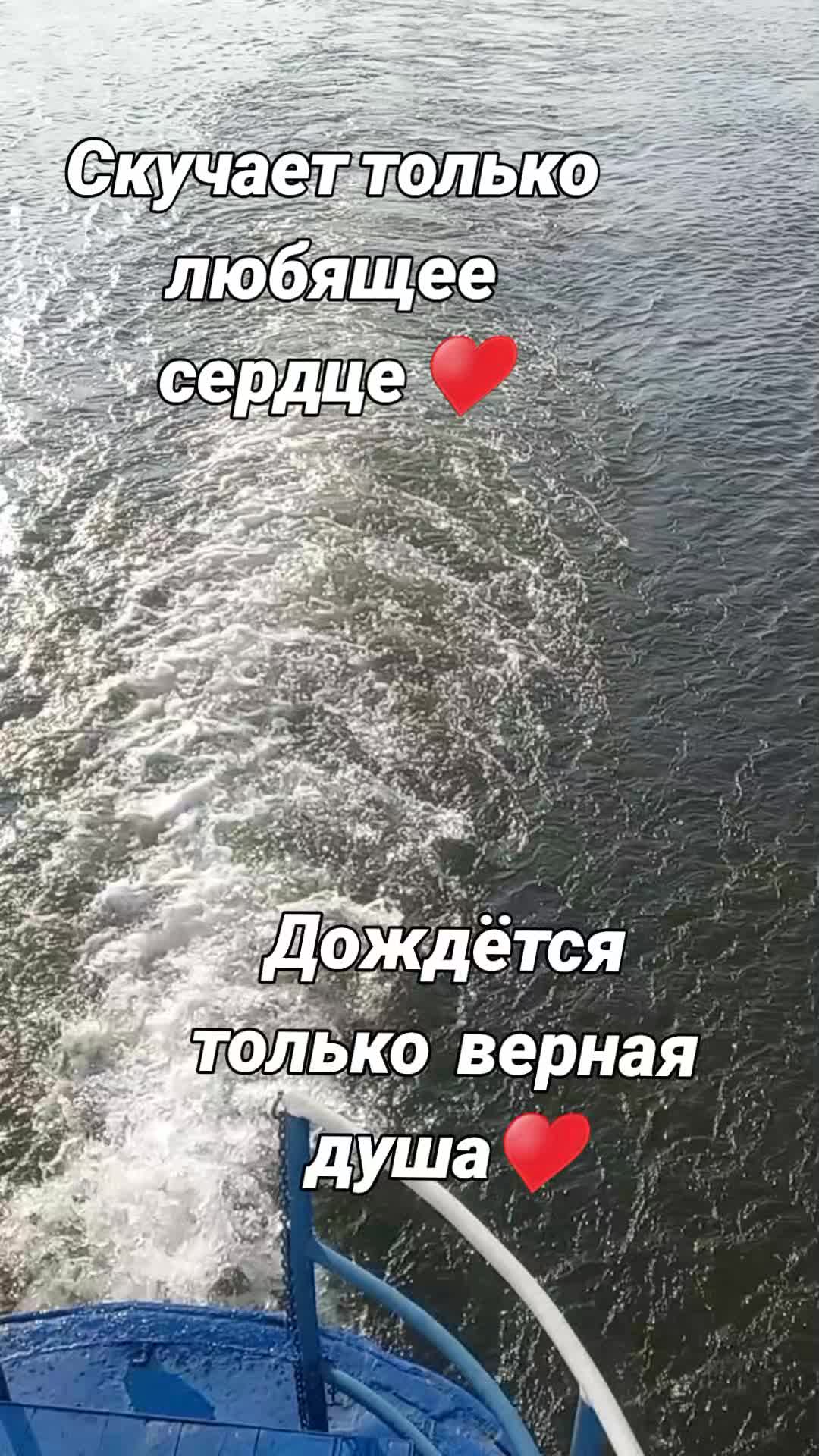 @ksy.sha77