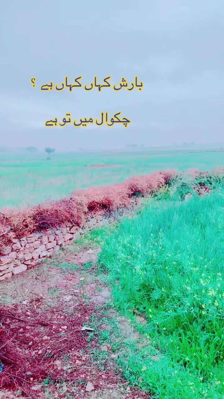 @DXN malik_tajamal