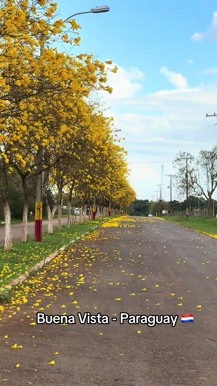@JoséFer 🐥🌵