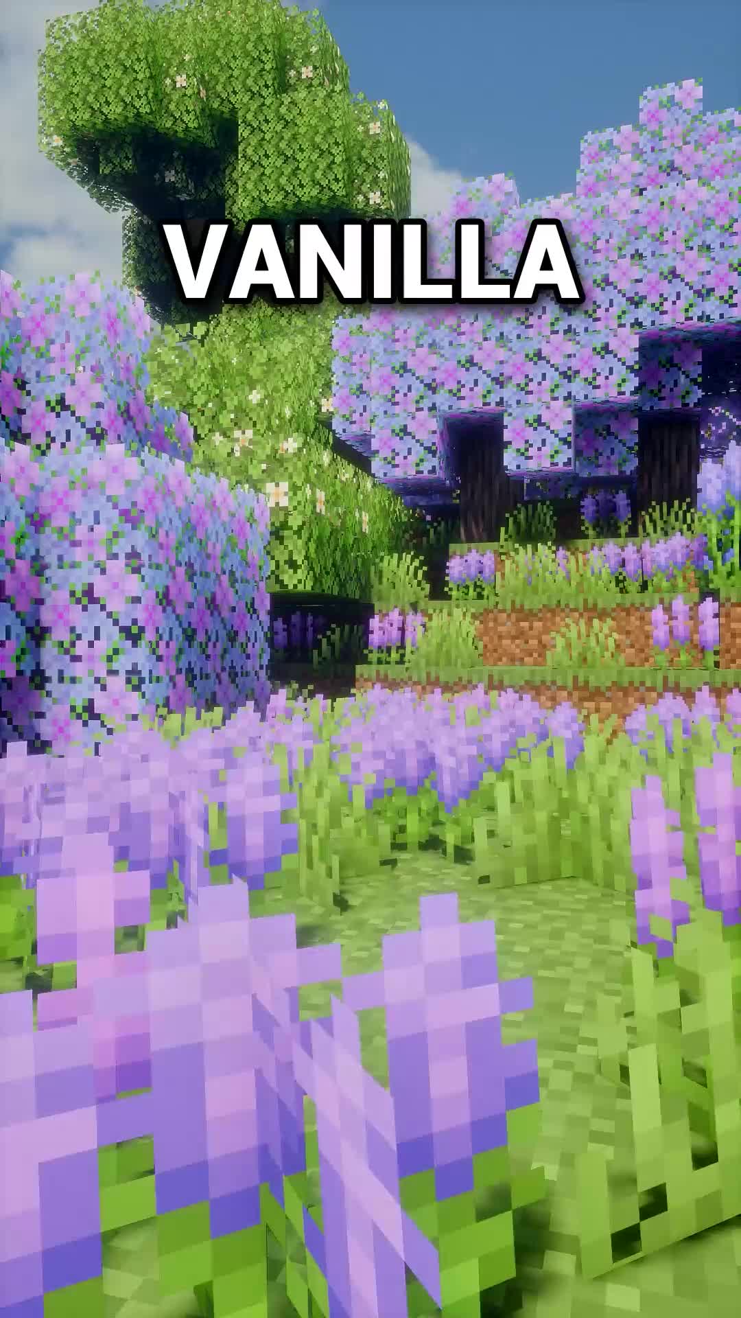 @marctgamer