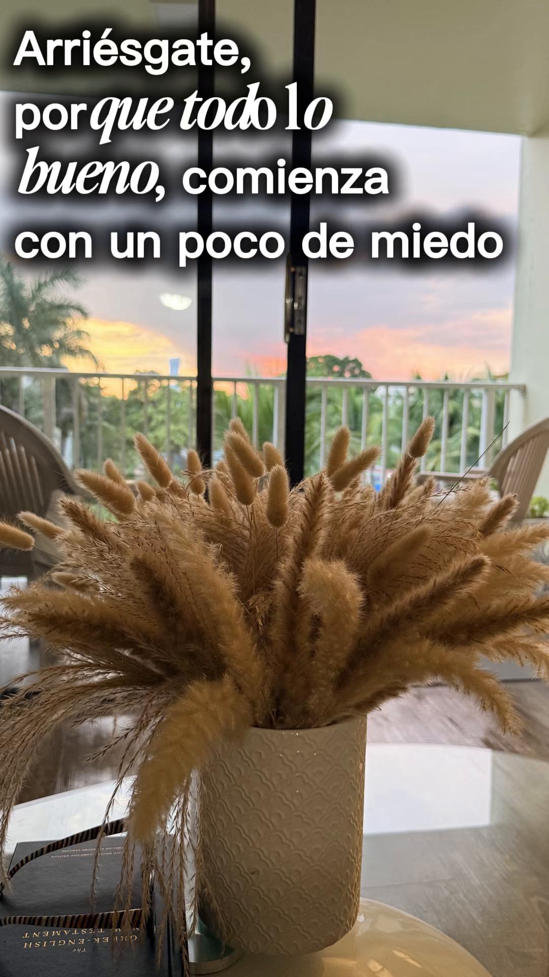 @Yahy | Resiliencia & Negocios