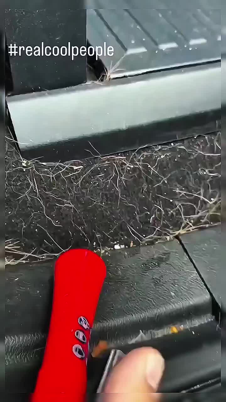 @𝙇𝙞𝙛𝙚 𝙃𝙖𝙘𝙠𝙨💡