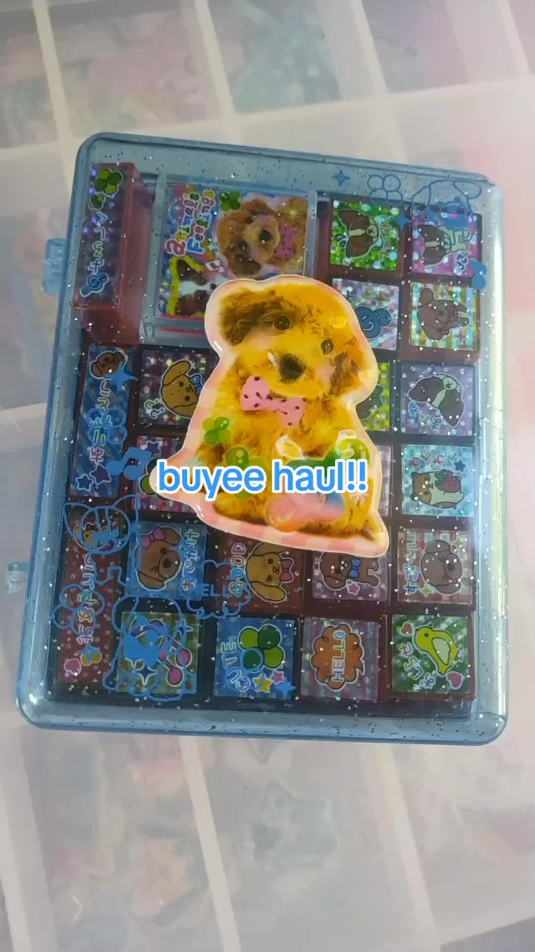 @pikopilled 💾