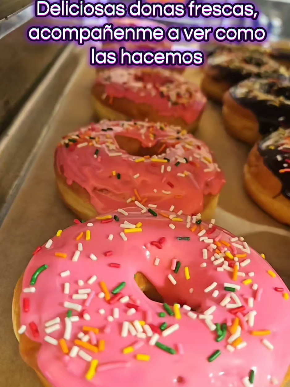 @Sandy Santos TV