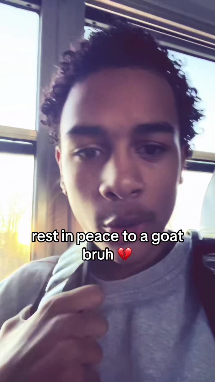 @ant