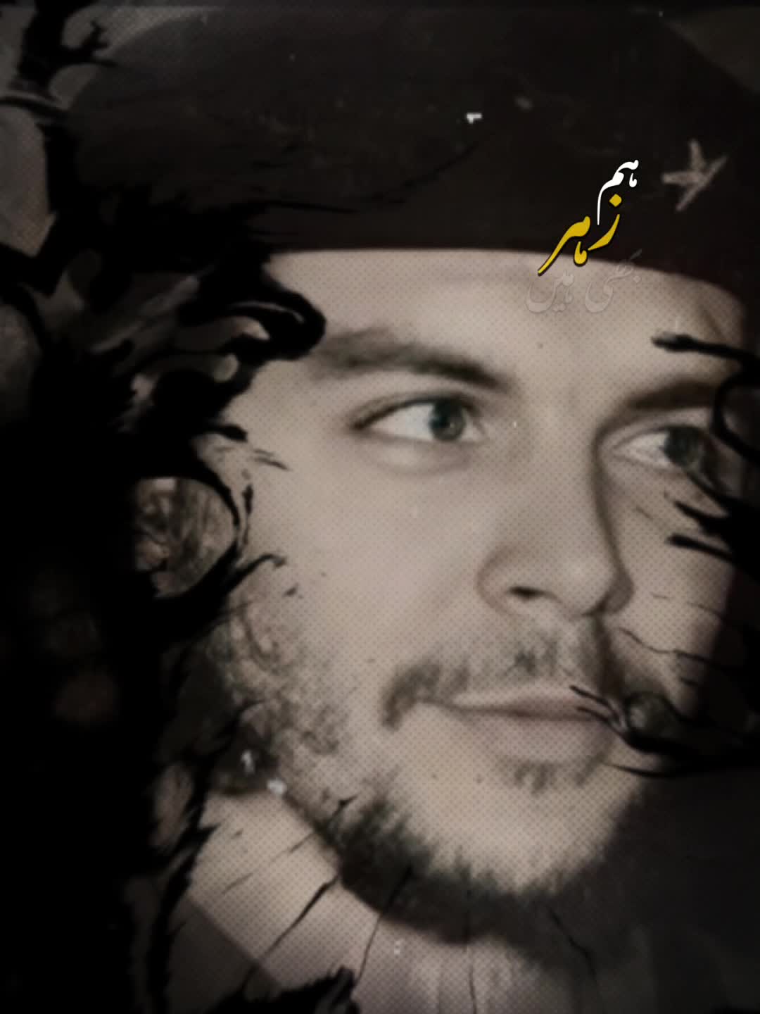 @Che Guevara 👑