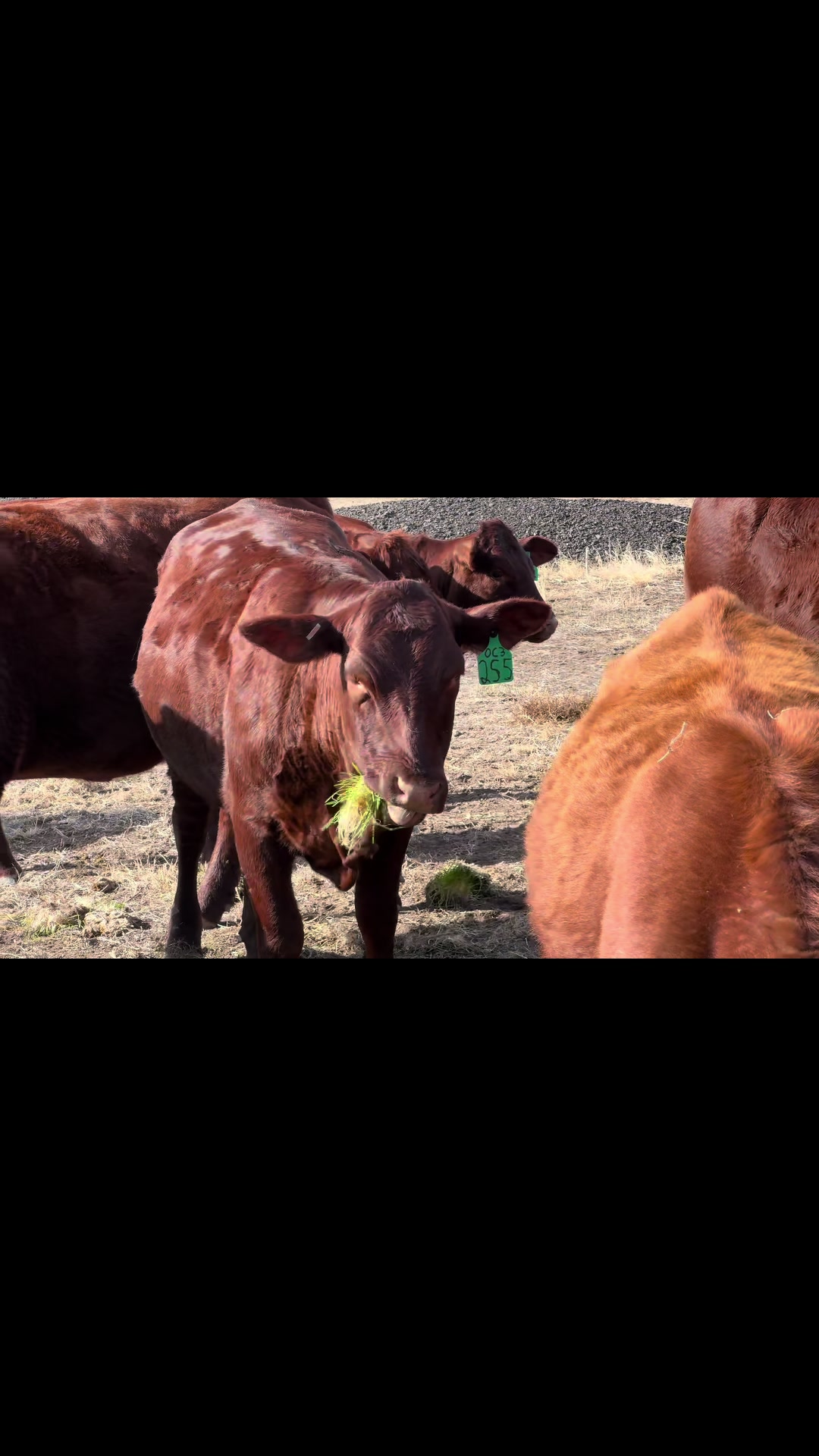 @FarmBox Foods