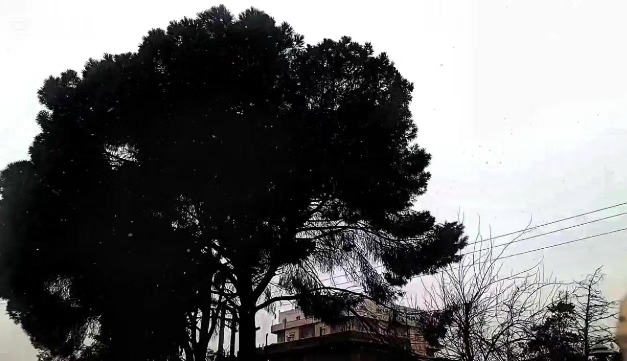 @𝑩𝒂𝒖𝒕𝒕𝒆𝒓𝒇𝒍𝒚ꨄ︎