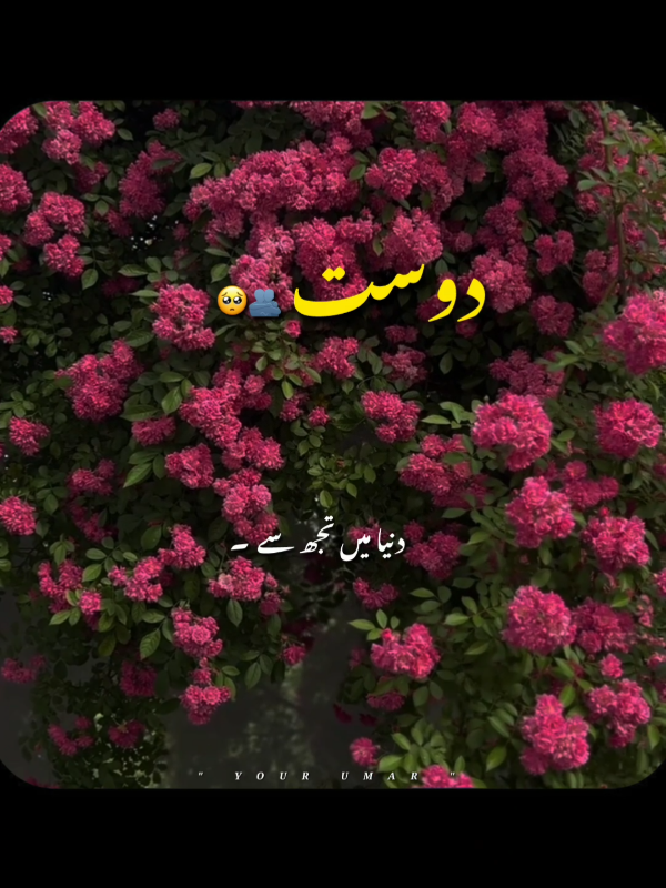 @𝙔𝙊𝙐𝙍 𝙐𝙈𝘼𝙍 🦋