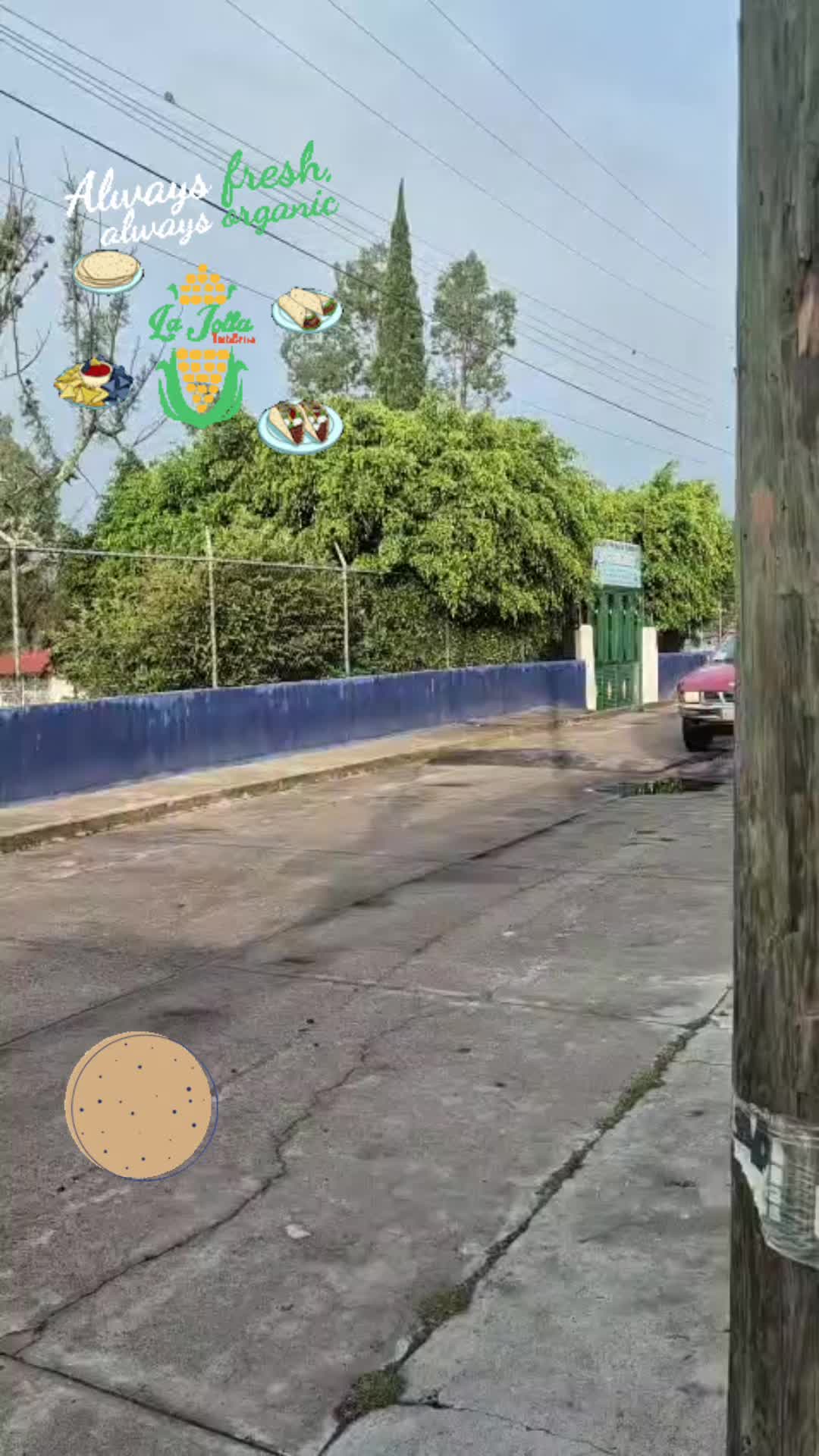 @antonysaavedra55