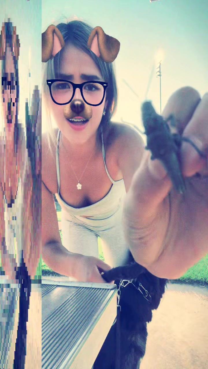 @evelyn_murph