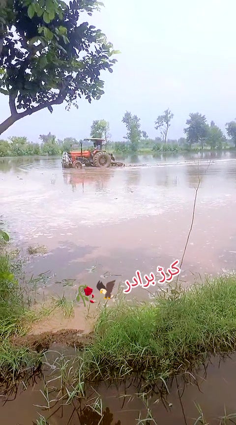@👑‿انیس&deg;✿&nbsp;&deg;حیدر✿ کرڑ‿{جٹ}👑