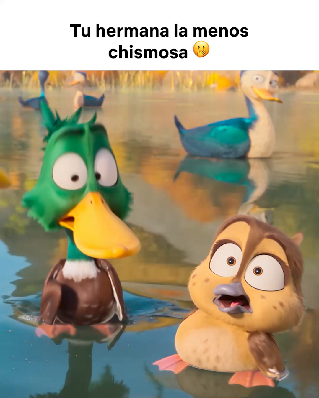 @Netflix Latinoam&eacute;rica