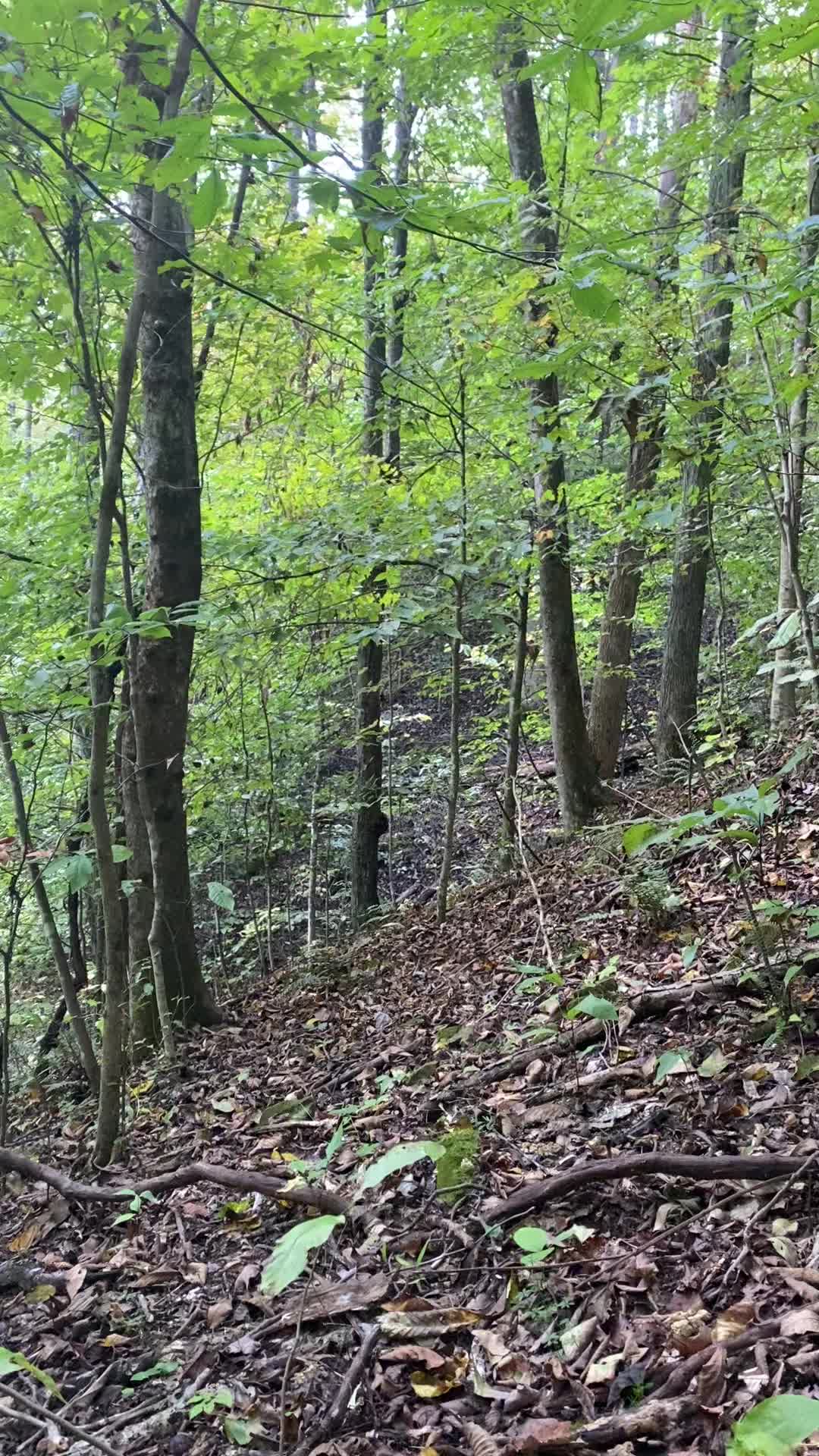 @East Ky Explorer ❌