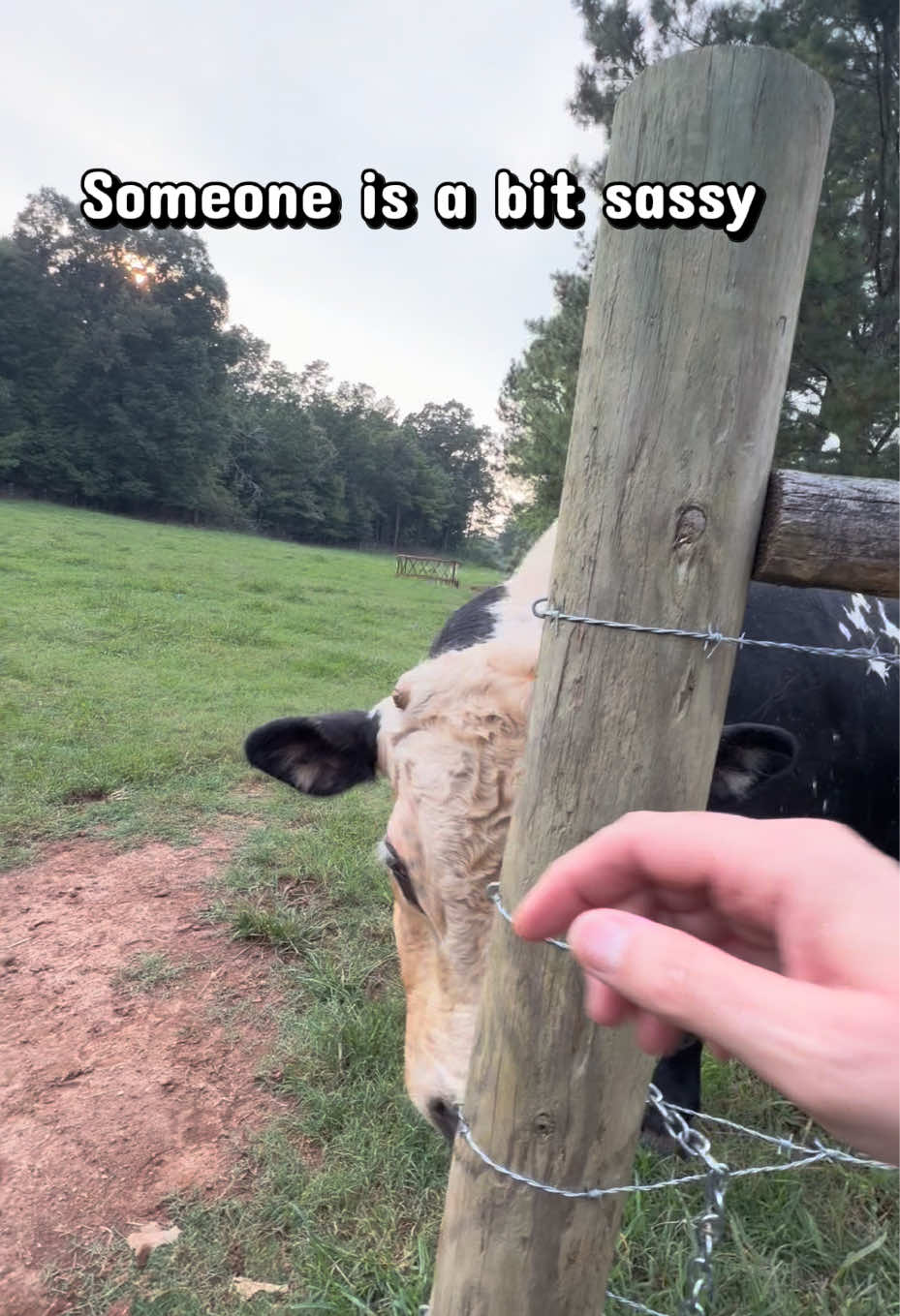 @Georgia Farm Girl