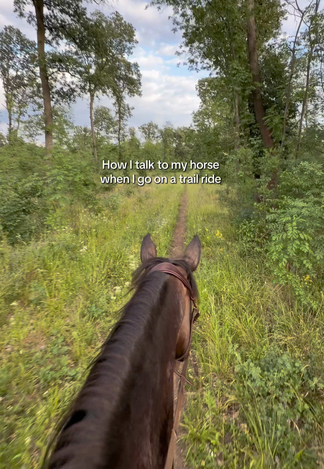 @Free Ride Equestrian