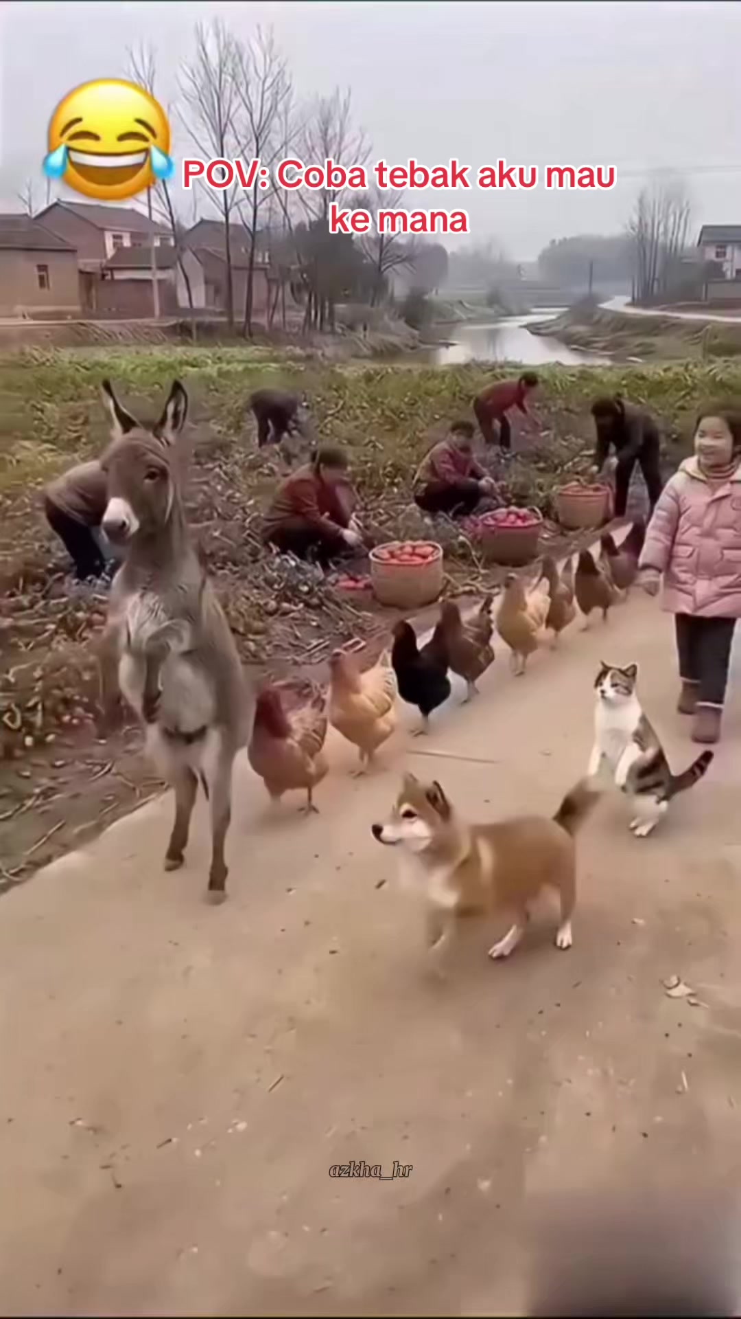 @ERICHA_hr