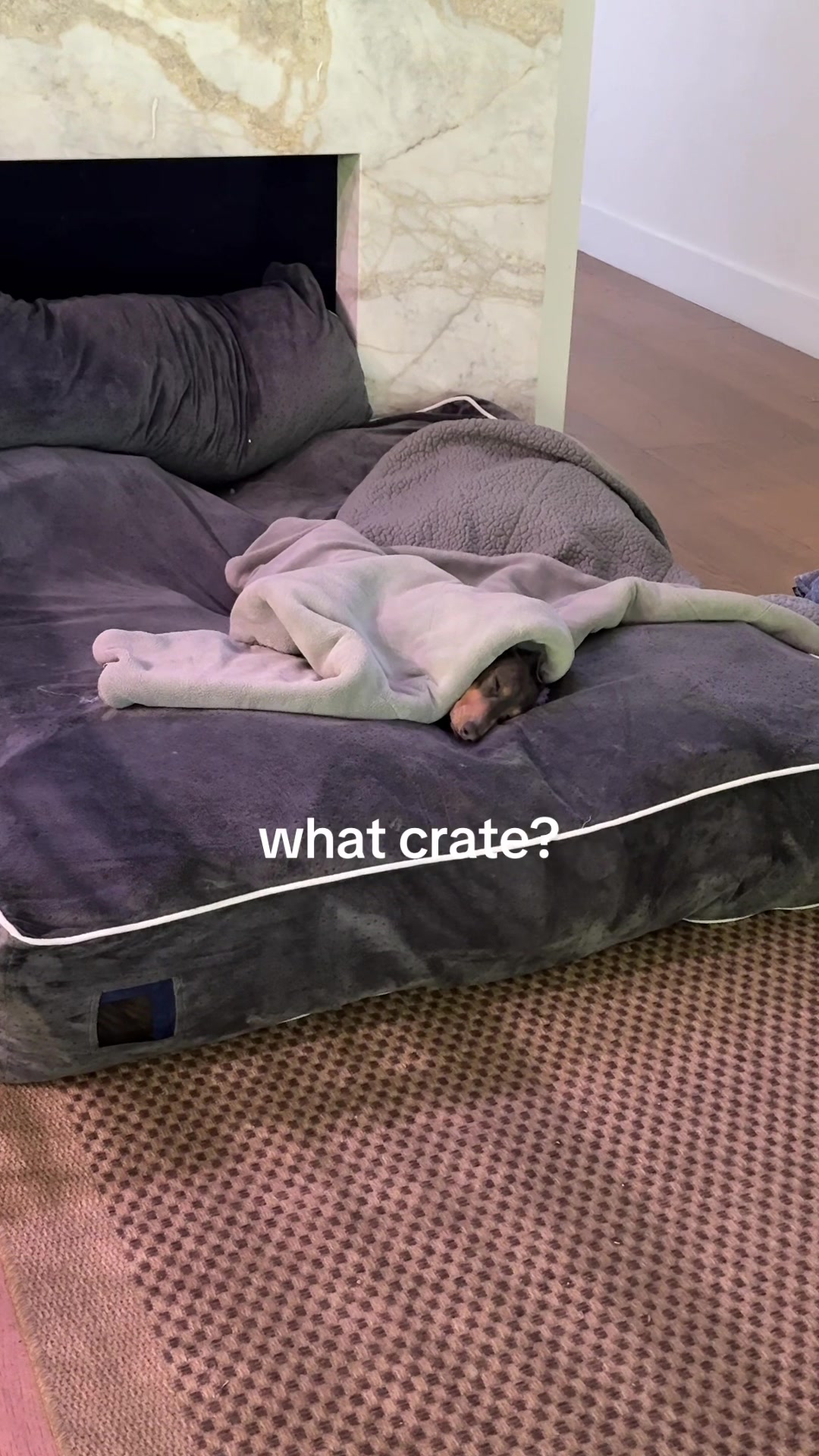 @Milo + Mo