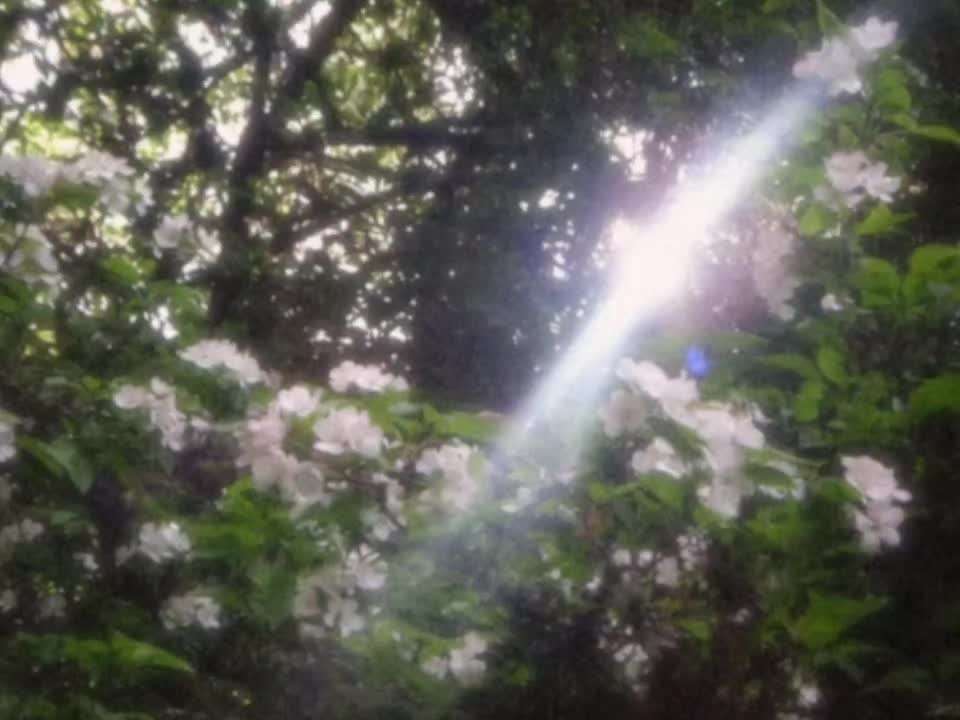 @𝘿𝙄𝙂𝙄𝙏𝘼𝙇𝙄𝙎