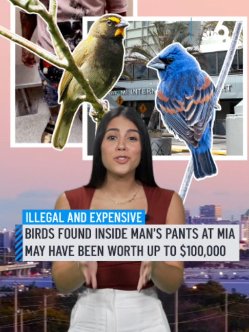 @NBCSouthFlorida