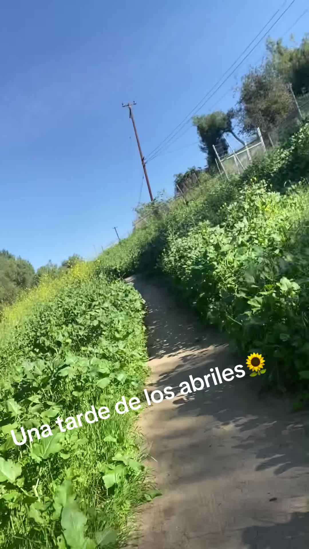 @Germ&aacute;n