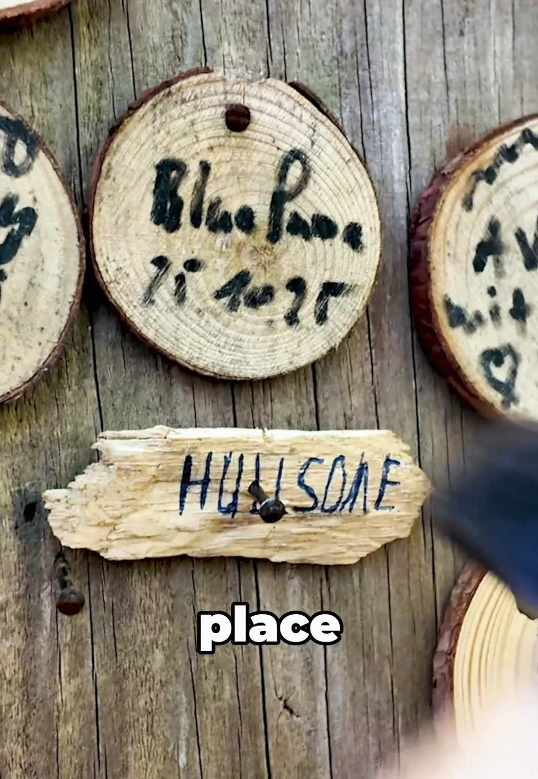 @Hullsome