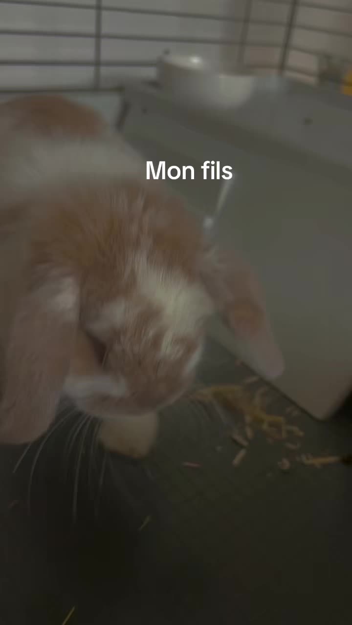 @margaux_9