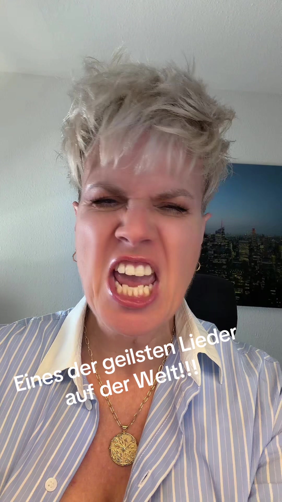 @schwabentine