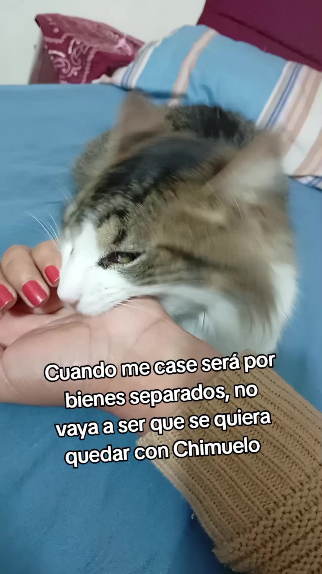 @Analia Gonzalez
