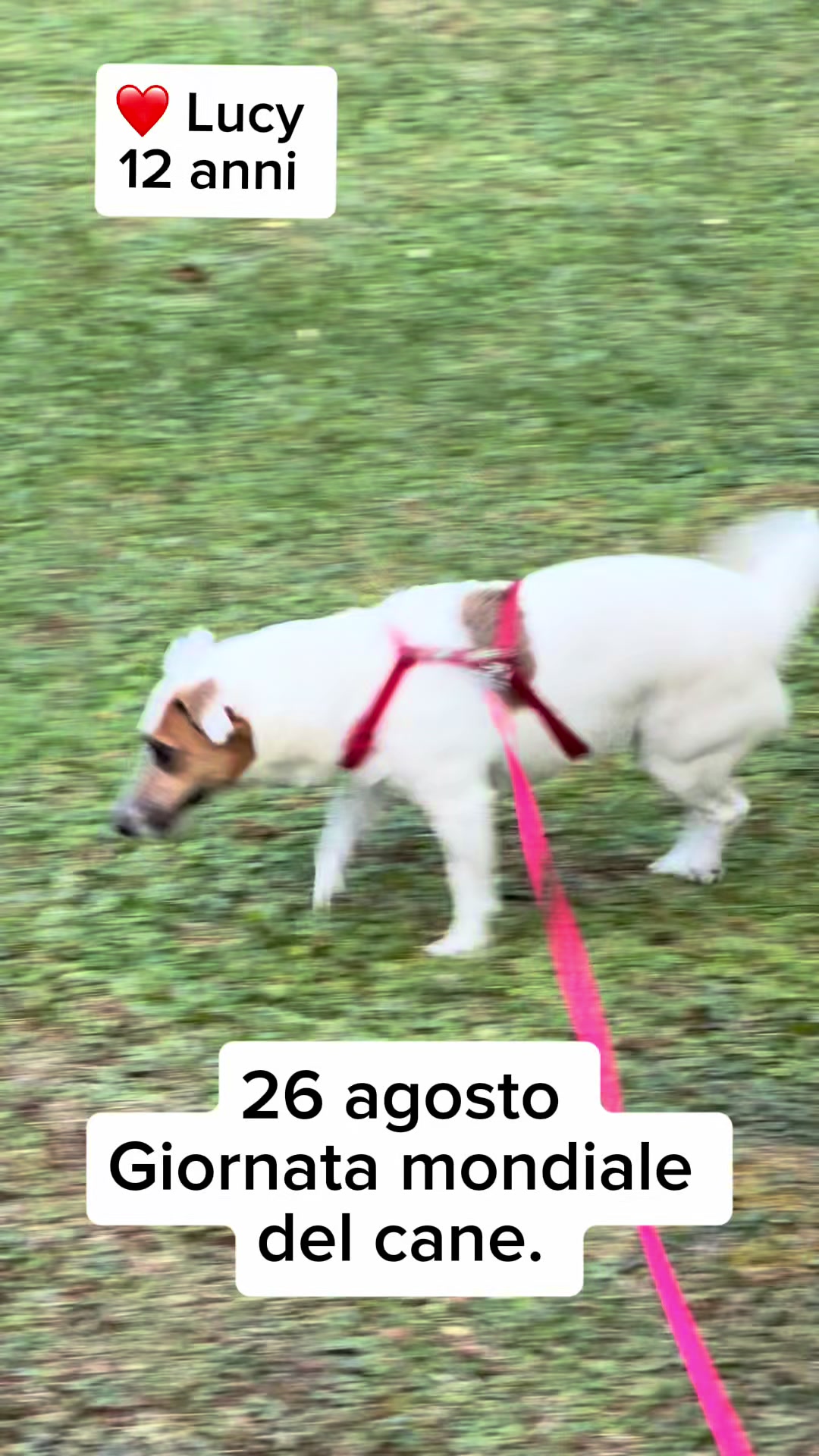 @Andrea Cherchi